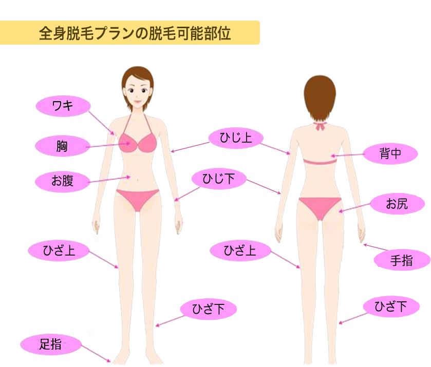 オススメ全身脱毛プランの脱毛可能部位